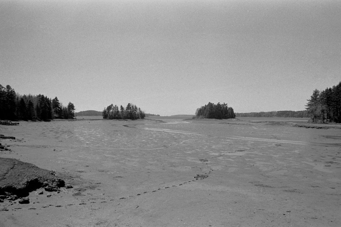 A Hike on the Harpswell Cliff Trail Dane's Photography