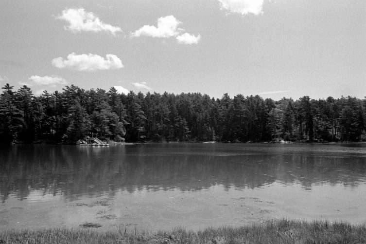 Exploring Oak Point Farm in Boothbay Harbor Dane's Photography